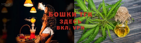 стаф Майский