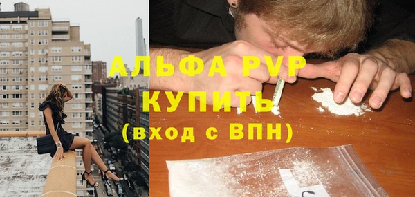 стаф Майский
