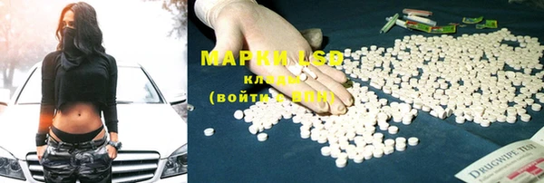 стаф Майский