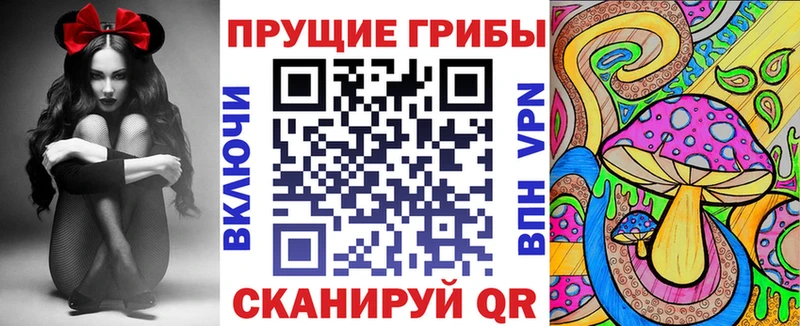 Псилоцибиновые грибы Cubensis  Шацк 